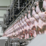 Fresh Meat Processing Software